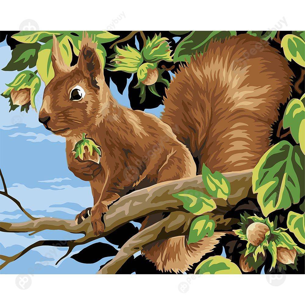 

40*50CM Paint By Numbers-Squirrel, 501 Original