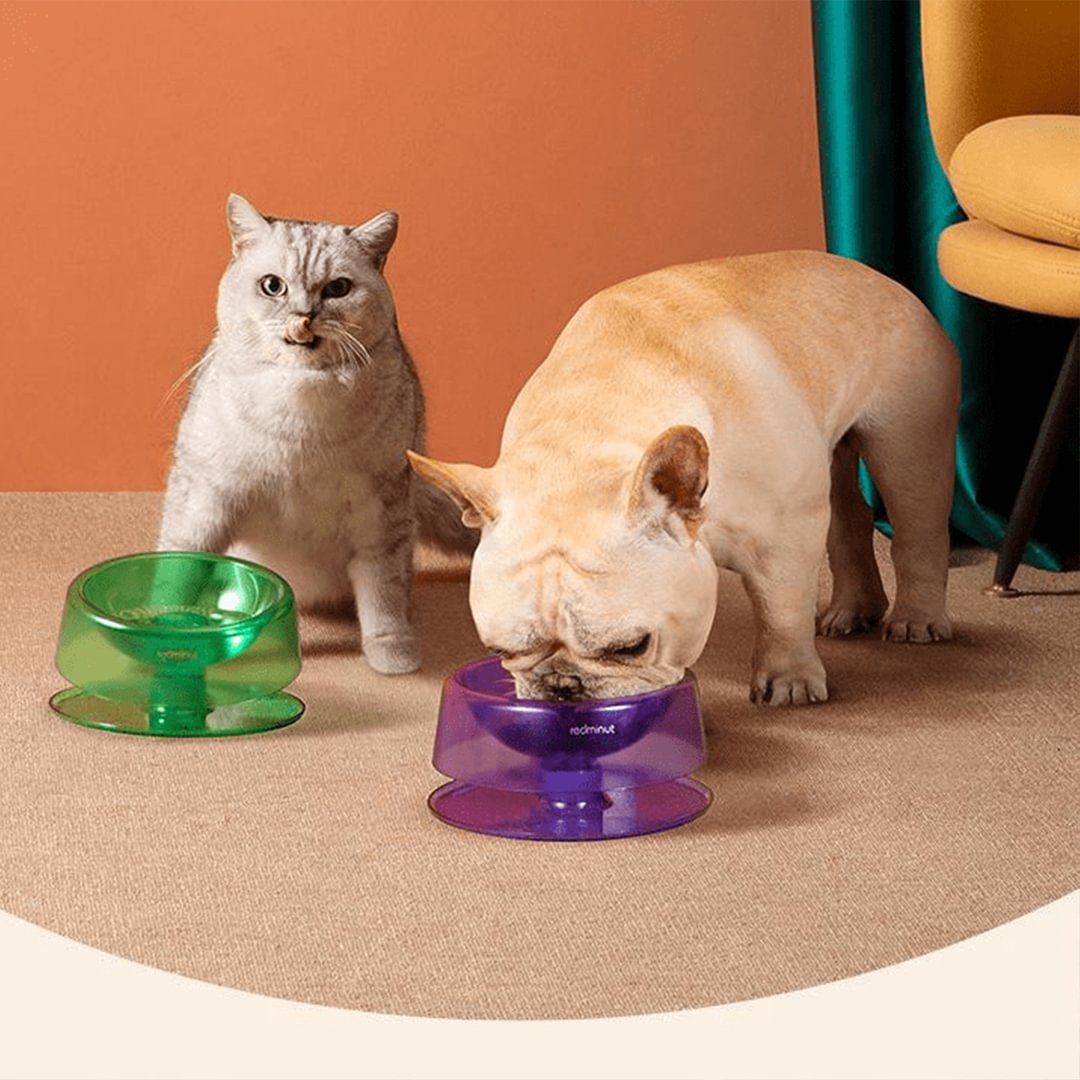Lovepetplus™ - Adjustable Tilted Cat Feeding Bowls(0-22°)