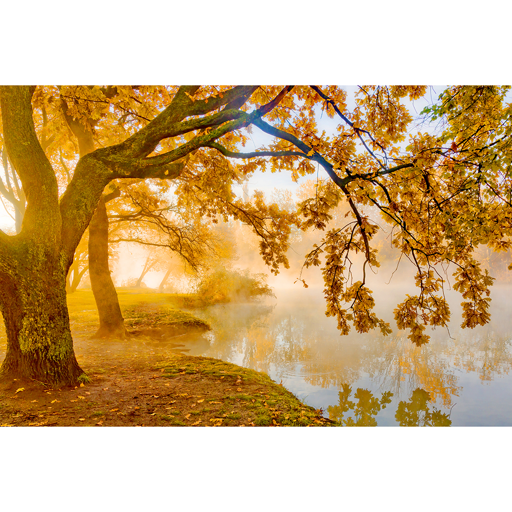 

Autumn by River - 1000 Pieces Jigsaw Puzzle, 501 Original