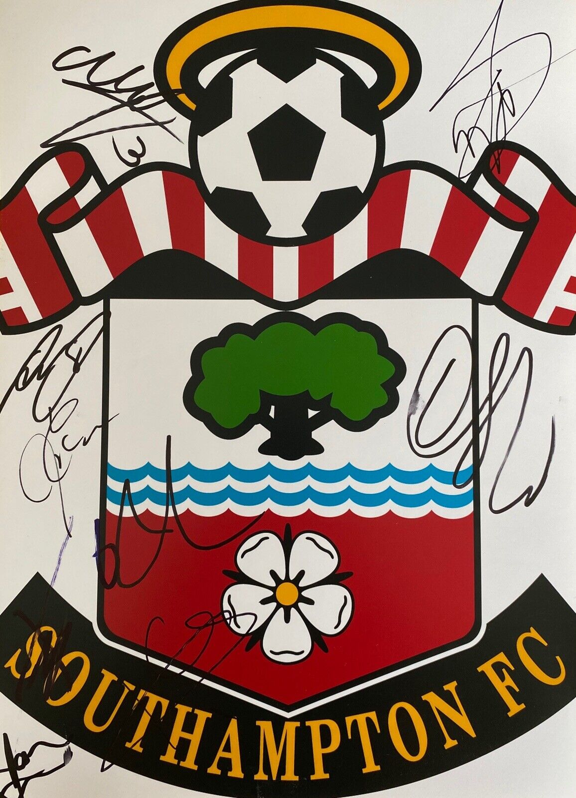 Southampton Genuine Hand Signed 16x12 Photo Poster painting, Bertrand, Ings, Romeu 2