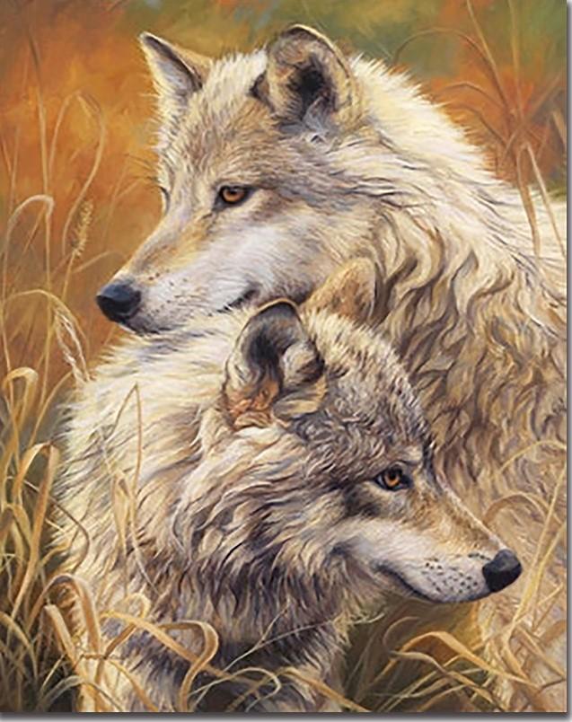 

Two White Wolves – Paint By Numbers - 40*50CM, 501 Original