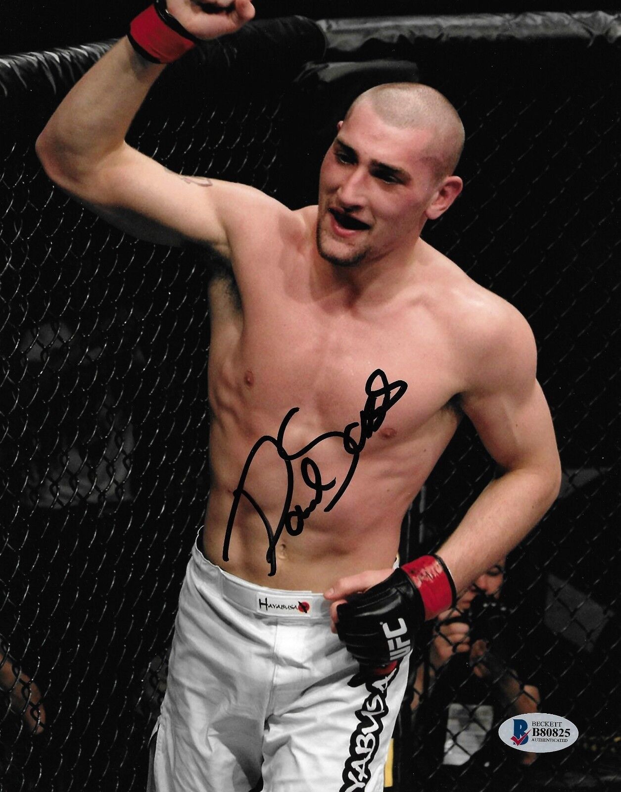 Paul Sass Signed 8x10 Photo Poster painting BAS Beckett COA UFC Picture Autograph 120 146 Live