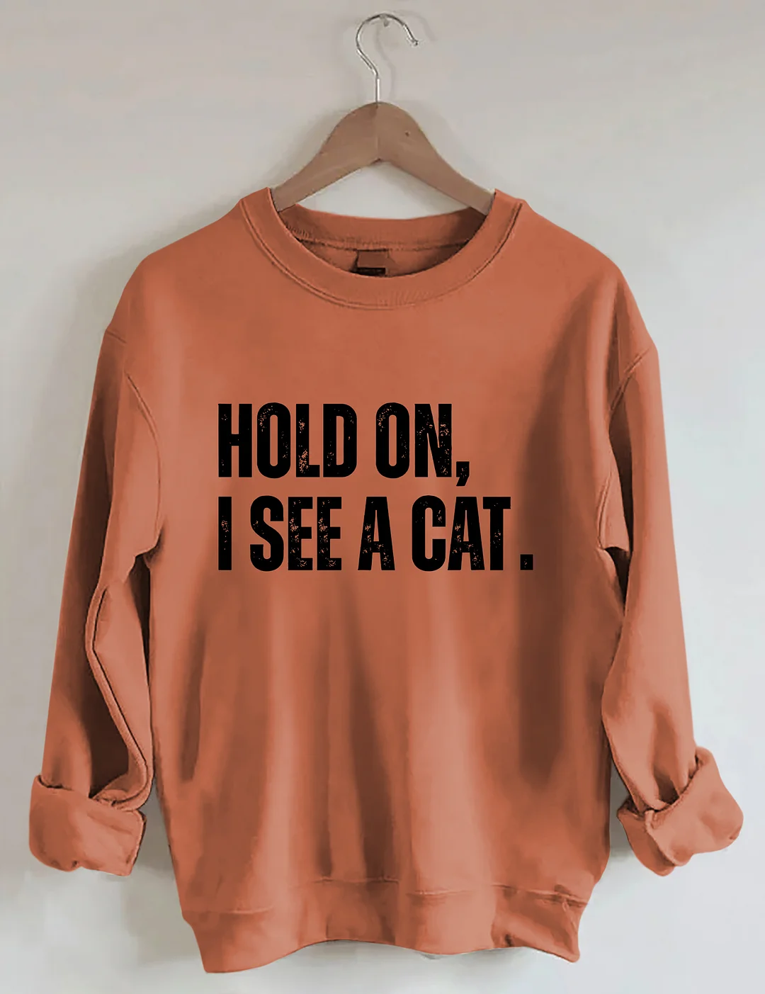 Hold On I See A Cat Sweatshirt