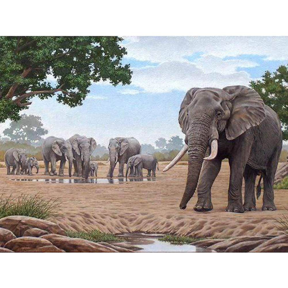 

40*30CM - Round Drill Diamond Painting - Elephant, 501 Original
