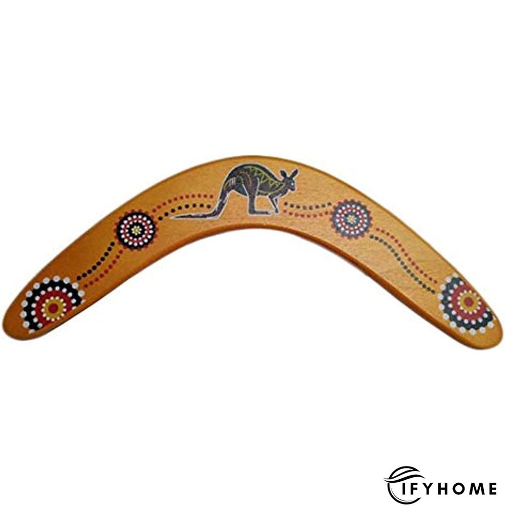 V Shaped Boomerang Throwback Flying Disc | IFYHOME
