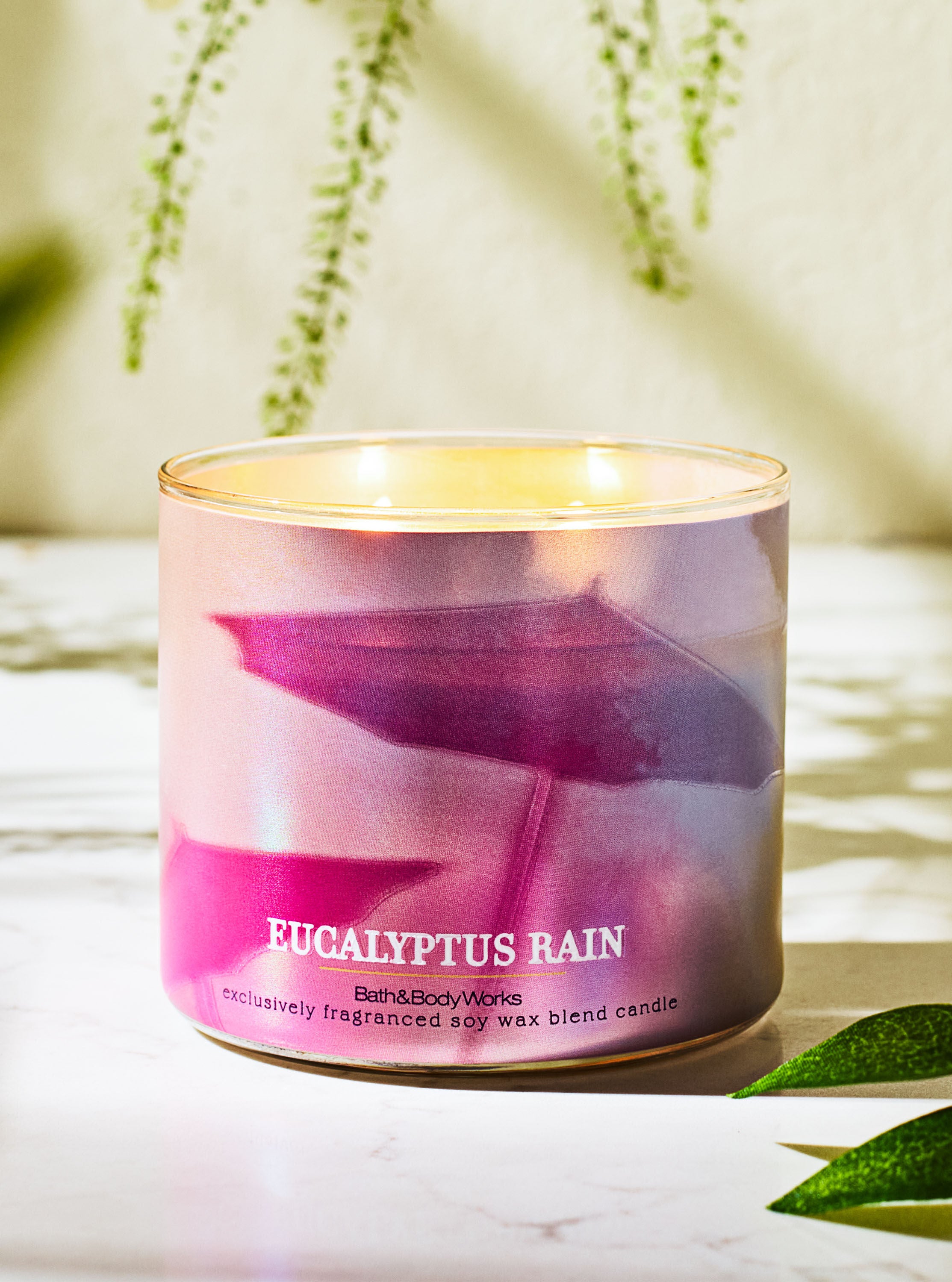 Eucalyptus Rain