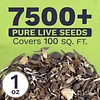 Wildflower Seeds Butterfly and Humming Bird Mix  23 Species 7,500 Seeds Packet