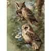 Diamond Painting-DIY Full Round Drill Owl