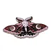 Polilla Nocturna Encantada