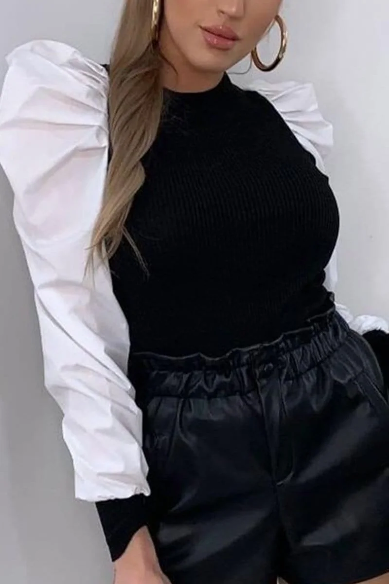 Stylish Casual Puff Sleeve Top