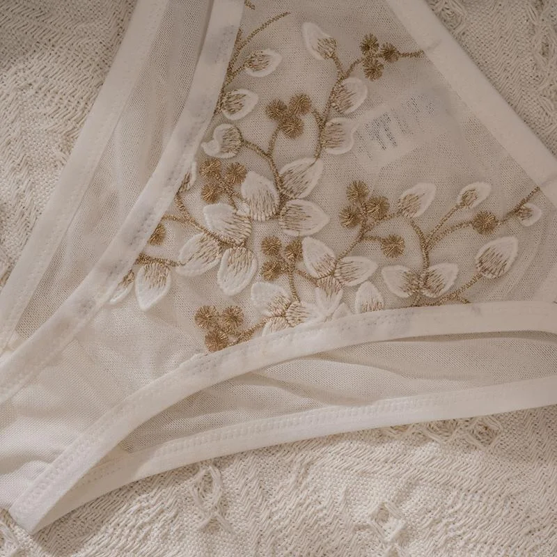 Embroidered lace French lingerie set