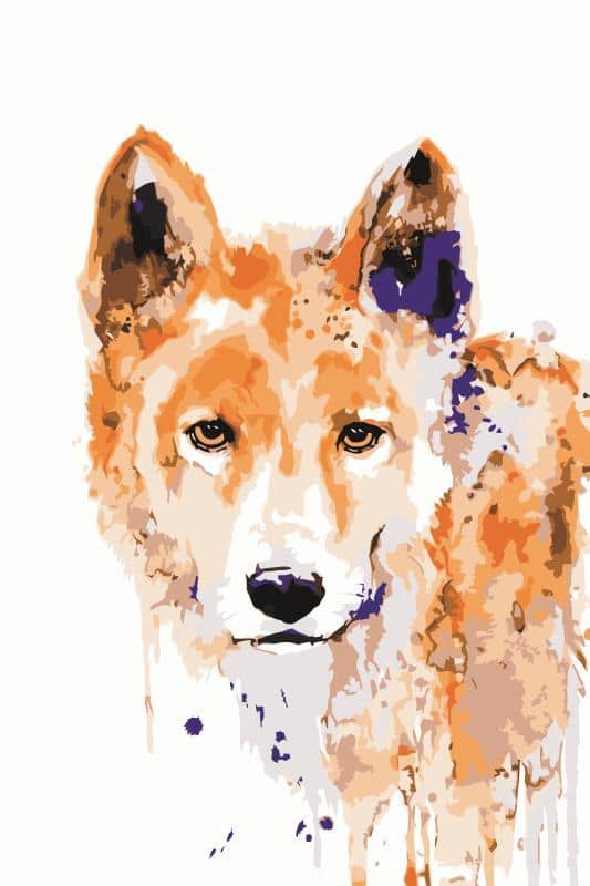 

Brown Wolf – Paint By Numbers - 40*50CM, 501 Original