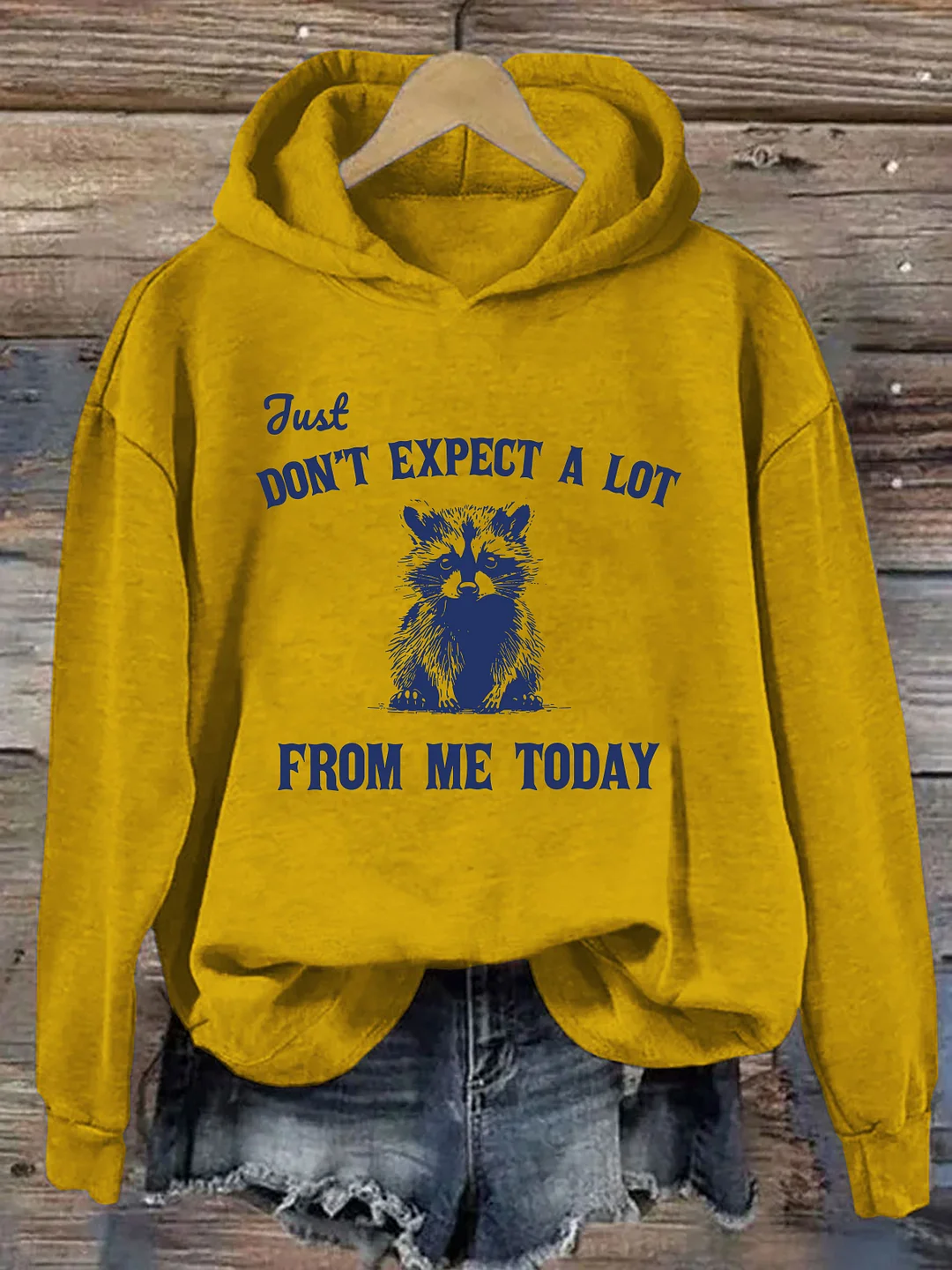 Don't Expect A Lot From Me Today Hoodie