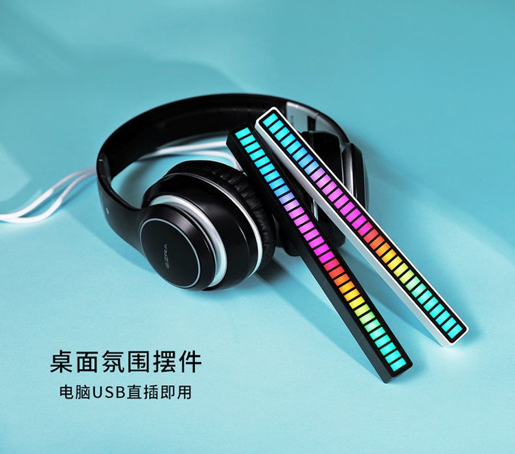 拾音节奏器