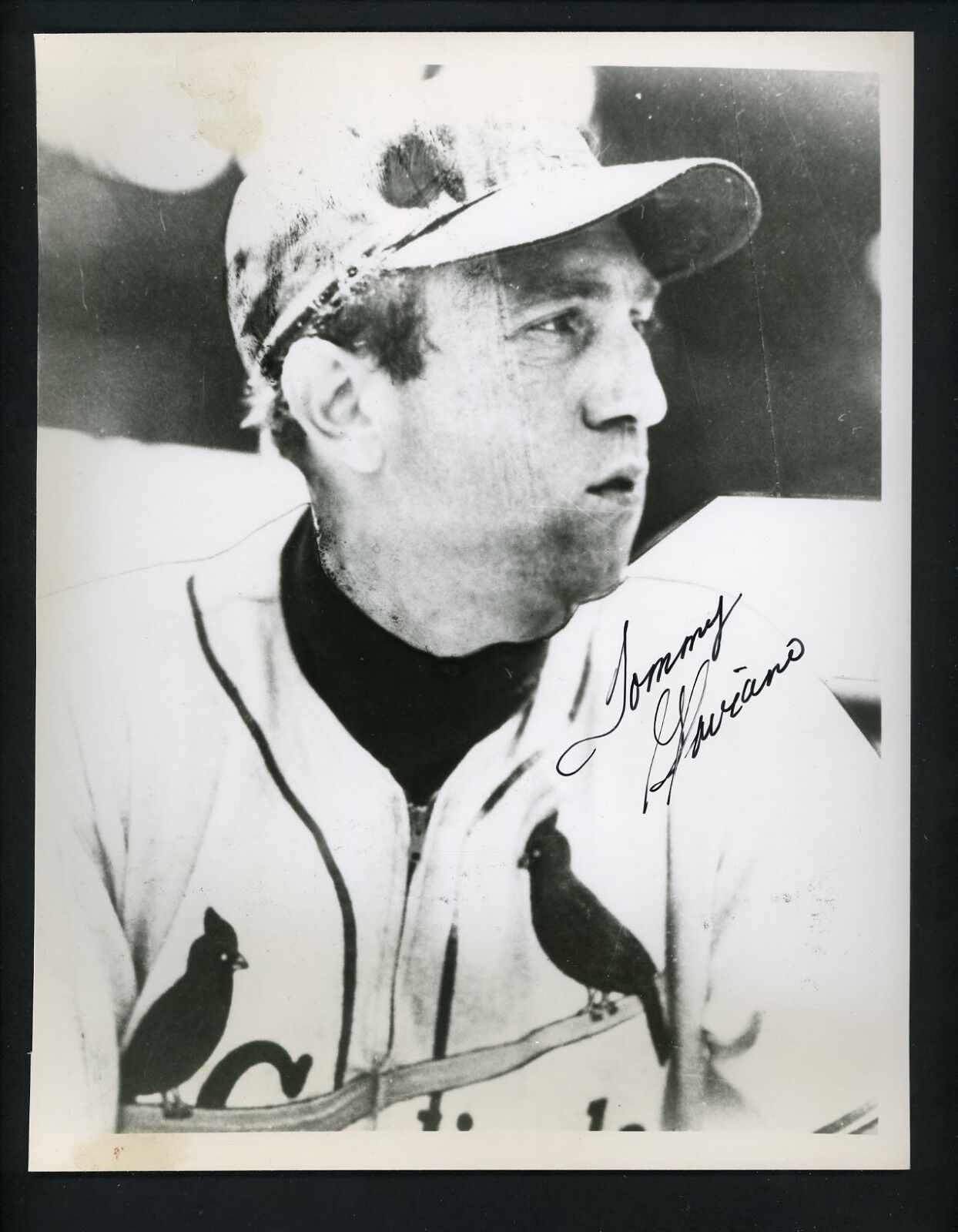 Tommy Glaviano Signed Autographed 7 3/4 x 10 B&W Photo Poster painting St. Louis Cardinals