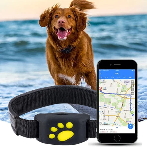 Z8 pet tracker clearance app