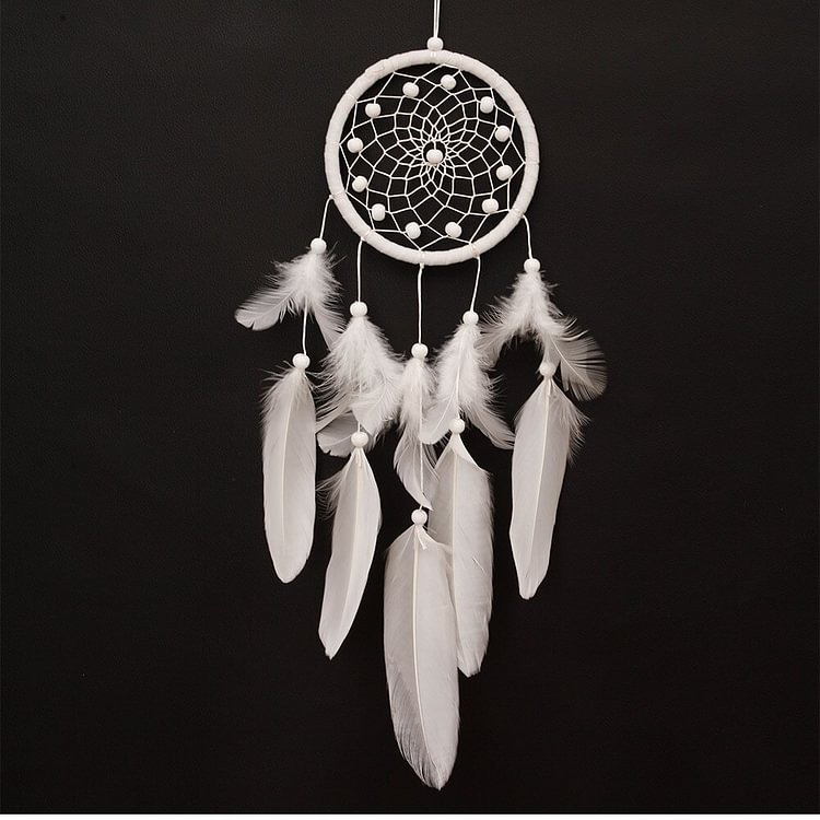 Cherokee Indian Dream Catcher
