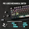 F87 Pro Mechanical Keyboard with Wireless Connector, 3 TKL Modes (Bluetooth/2.4GHz Wireless/Type-C) Gaming Keyboard, Hot Swappable, Side Printed PBT Keycaps (Black)