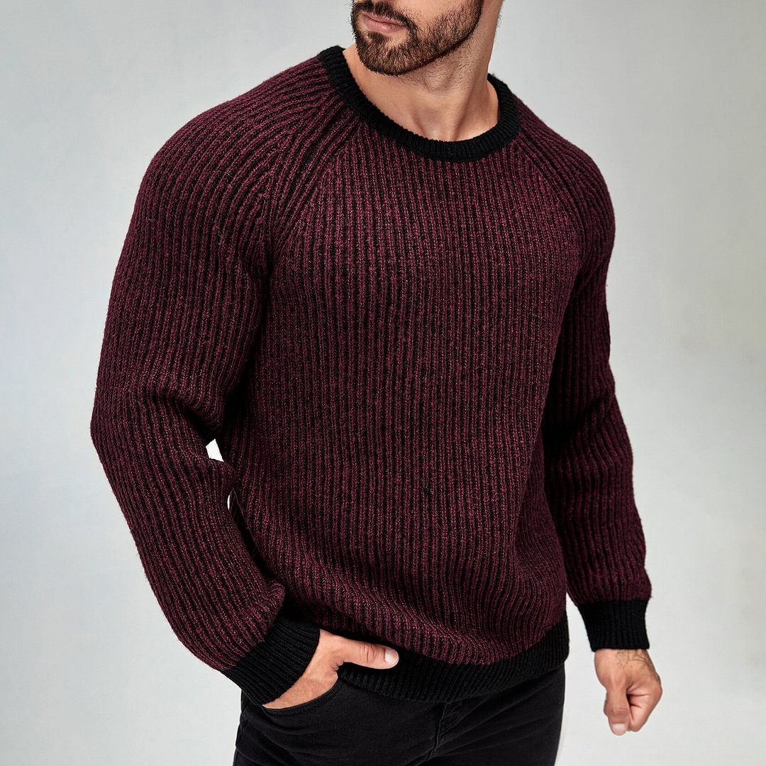 Men Raglan Sleeve Contrast Trim Sweater