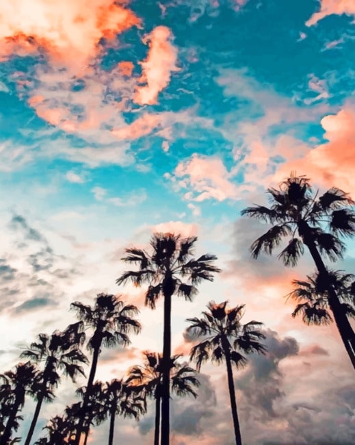 

Aesthetic Palm Trees – Paint By Numbers - 40*50CM, 501 Original