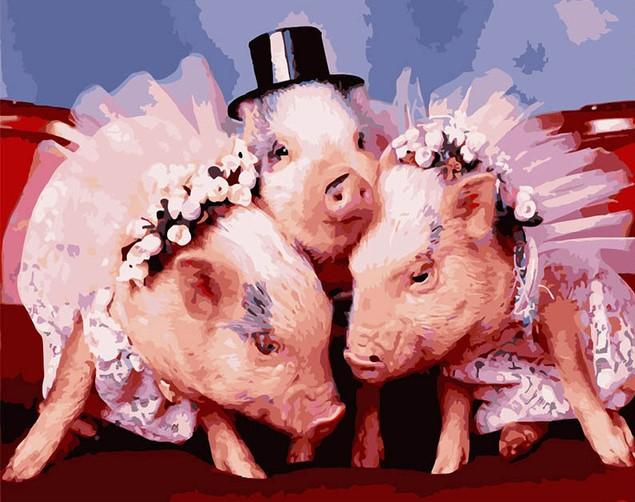 

Pig Bride – Paint By Numbers - 40*50CM, 501 Original