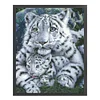 Bead Embroidery-9CT Printed Partial Embroidery-Tiger(45*57cm)