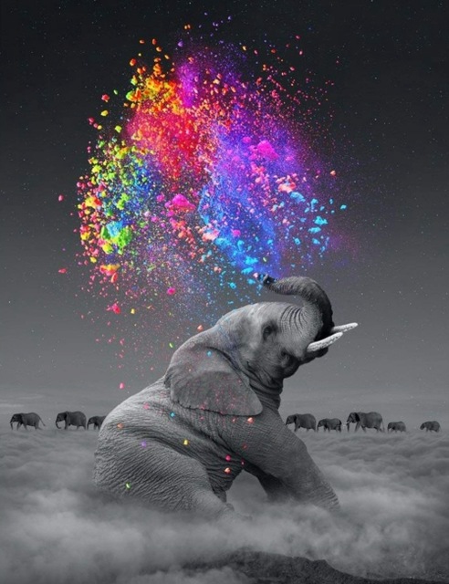 Fantasy Elephant Wall Art Posters Animal Print on Canvas Wall Pop Art Decorative Pictures for Living Room Decor No Frame