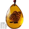 Insect Amber Pendant Natural Butterfly Specimen Insect Amber Necklace Children's Hanging Accessories
