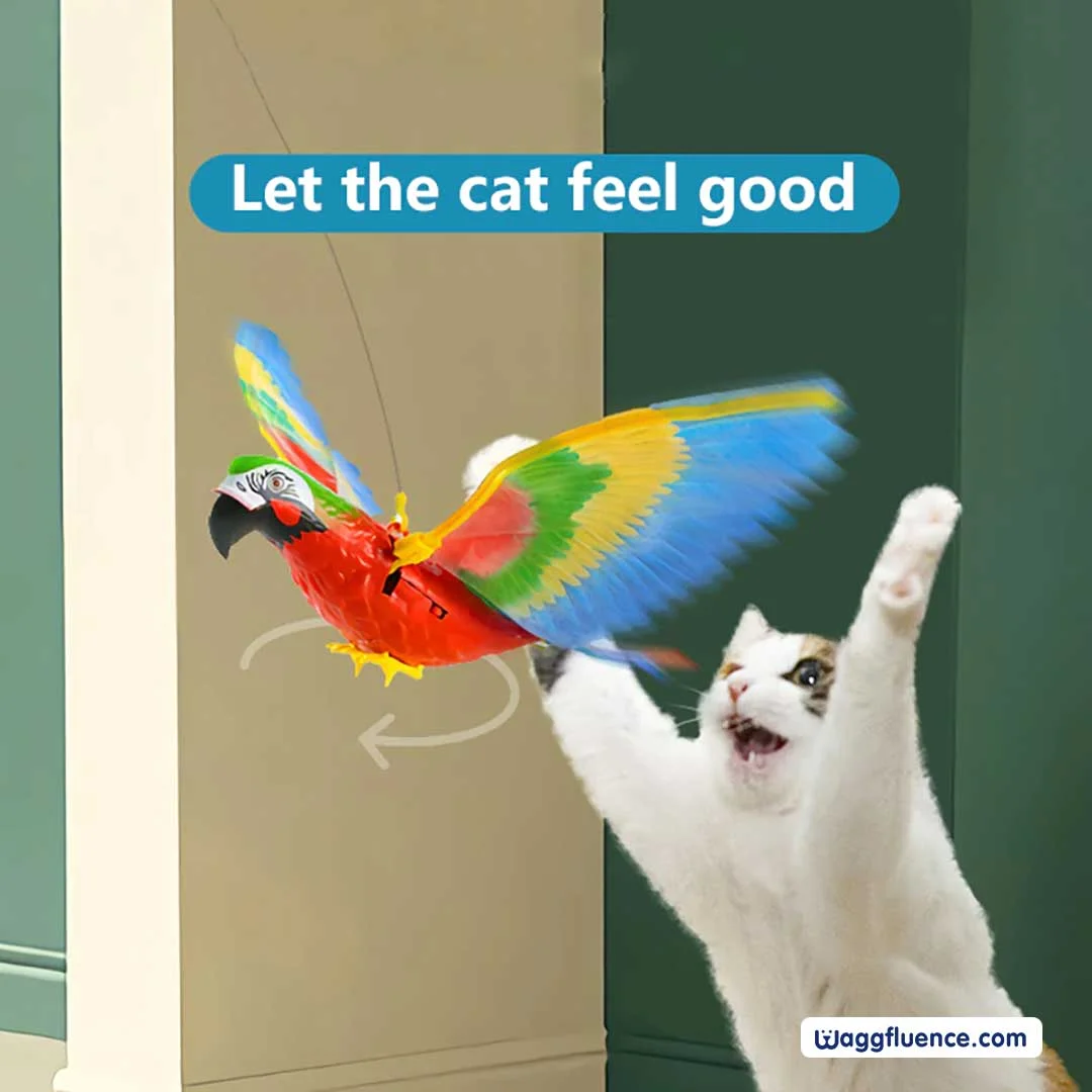Waggfluence Bird Simulation Interactive Hanging Parrot/Eagle Flying Toy for Cats (HOT PRODUCT | LOW STOCK)