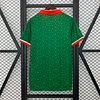 2025 Ireland Commemorative Edition Football Shirt 1:1 Thai Quality