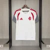 26/27 SC Internacional Training White Soccer Jersey