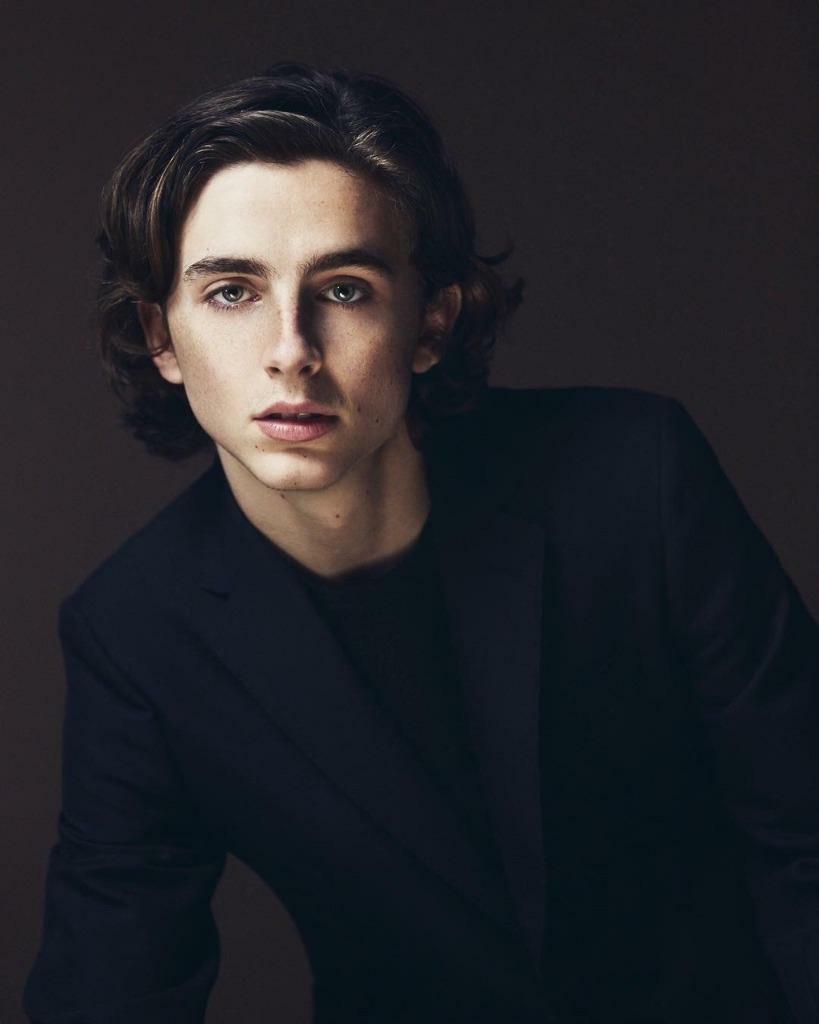 Timothee Chalamet 8x10 Picture Simply Stunning Photo Poster painting Gorgeous Celebrity #18