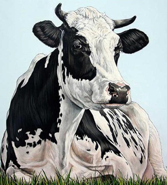 

Fat Cow – Paint By Numbers - 40*50CM, 501 Original