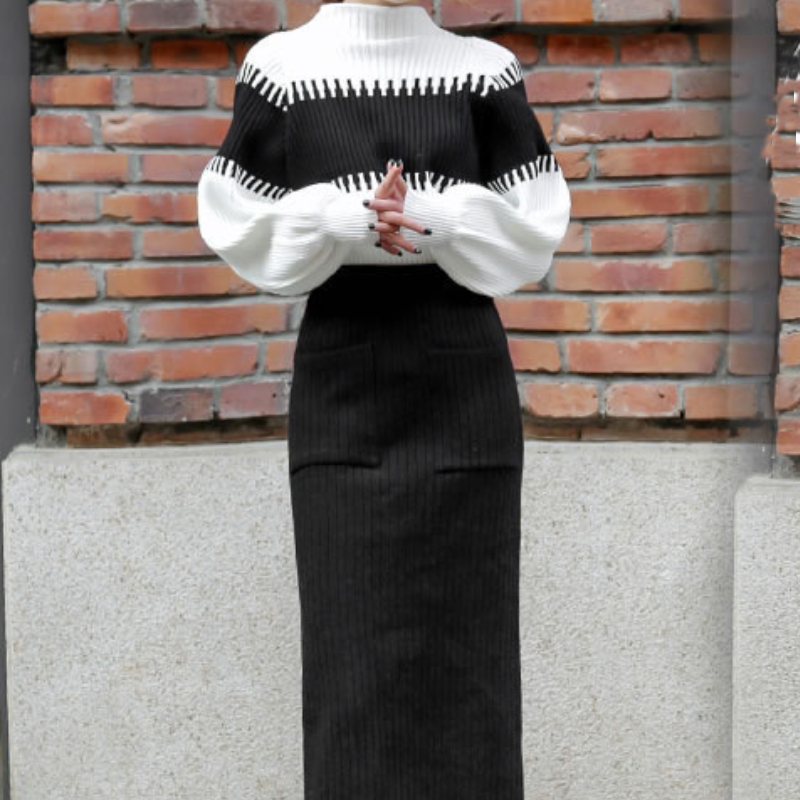 Rotimia Chic Color Block Stand-up Collar Knit Sweater Two-piece