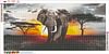 Elephant Landscape -Full Round Diamond Painting(80*40cm)