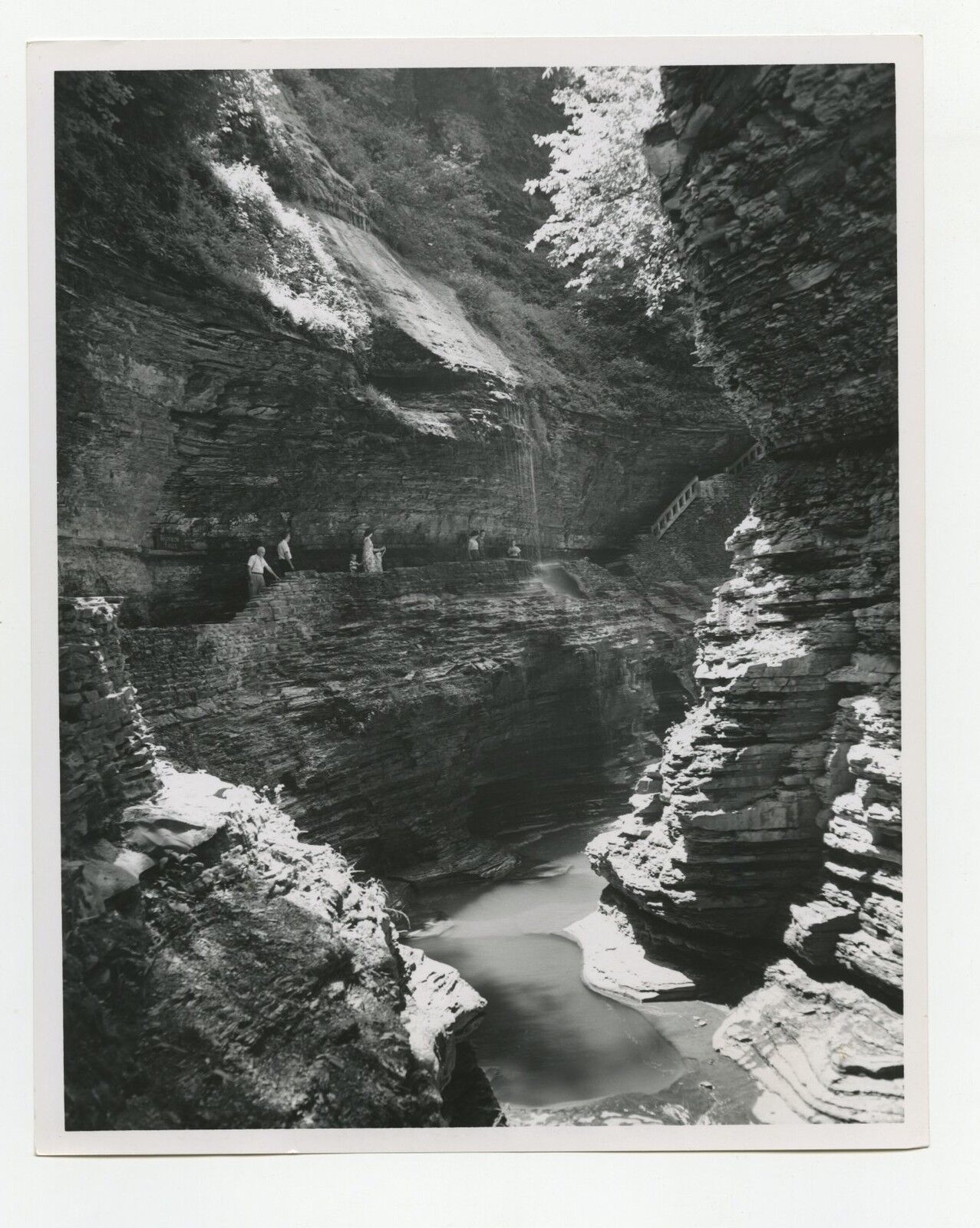 New York History - Vintage 8x10 Publication Photo Poster paintinggraph - Watkins Glen State Park