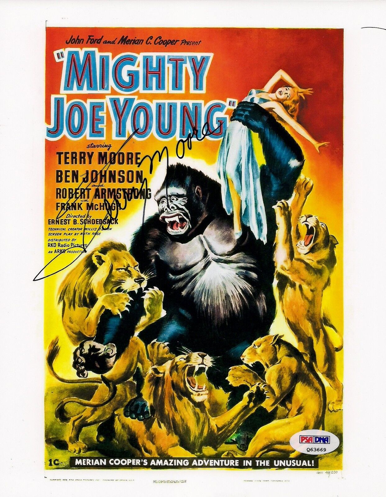 Terry Moore Signed 8x10 Photo Poster painting PSA/DNA Mighty Joe Young Movie Picture Autograph