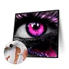 uk.everydayedeals (Limited Stock)Paint By Number - Oil Painting -  Eye (40*40Cm)