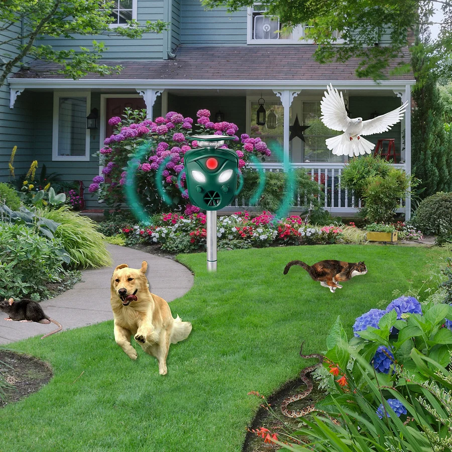 FCE3CAEB6FFA111671864AB567D540