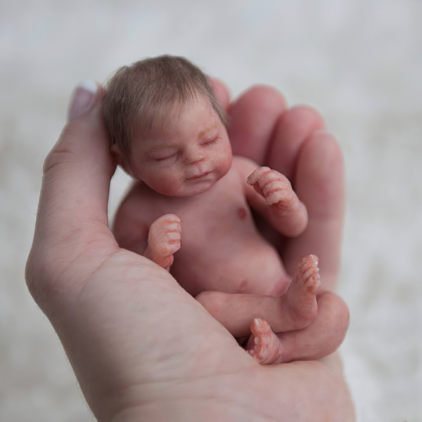 Miniature Doll Sleeping Full Body Silicone Reborn Baby Doll, 6 Inches ...