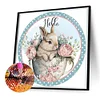 Diamond Painting-DIY Full Round Drill Rabbit