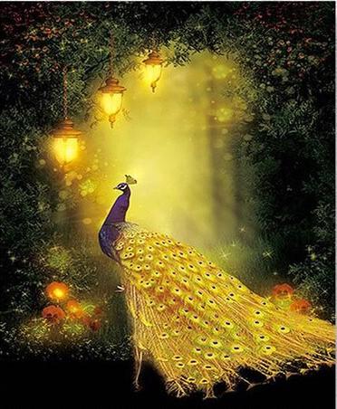 

Bright Peacock – Paint By Numbers - 40*50CM, 501 Original