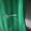 Joyfball 2026 Player Version Algeria National Team Away Stars Football Shirt（The player version jersey is a bit tight, please pay attention to the size selection）