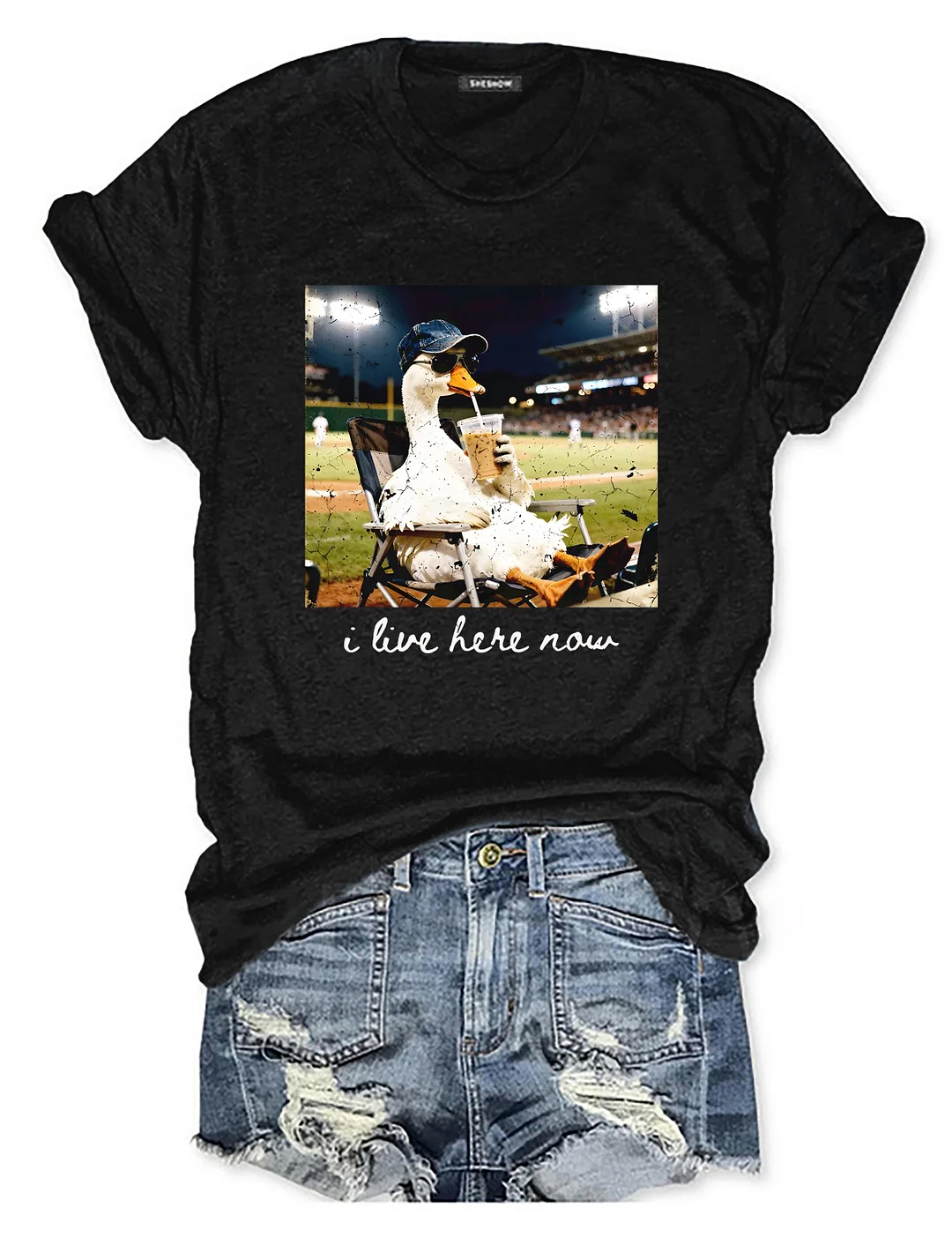 I live Here Now Goose Ballfield T-shirt