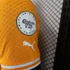 2024 Player Ivory Coast Soccer Jersey Home