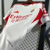 25/26 Benfica Soccer Jersey Second Away