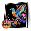 Hummingbird - Crystal Rhinestone Diamond Painting