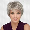 Silver Gray High Temperature Wire Oblique Bangs Wig