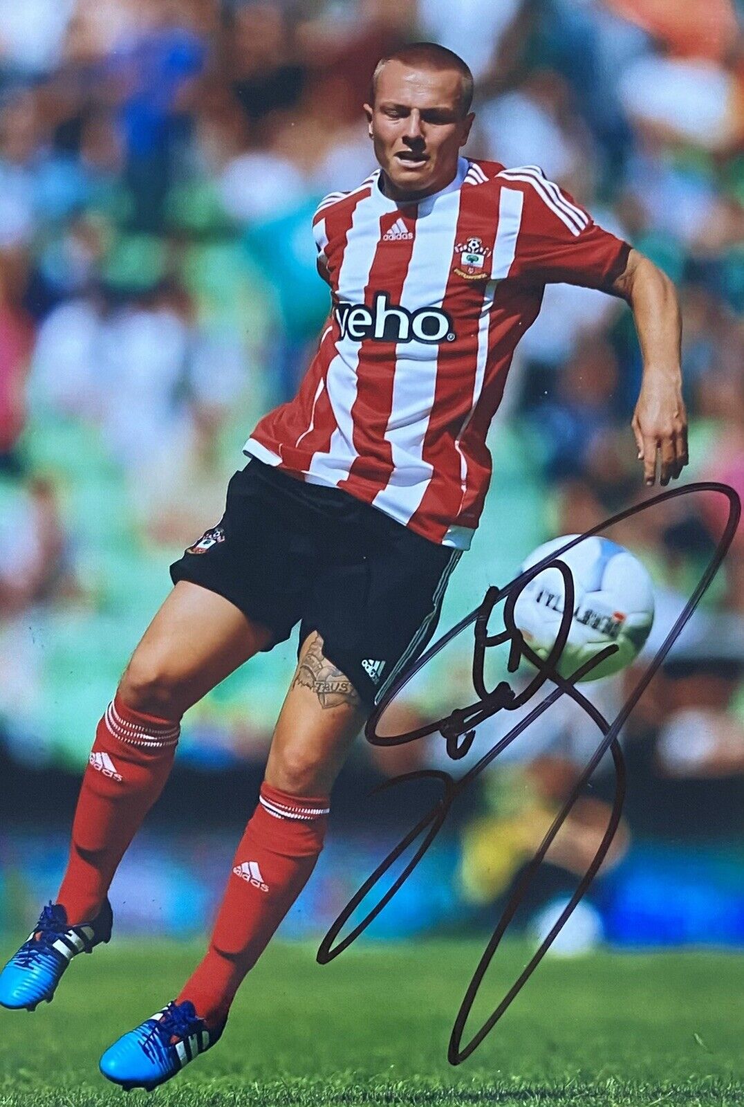 Jordy Clasie Genuine Hand Signed Southampton 6X4 Photo Poster painting