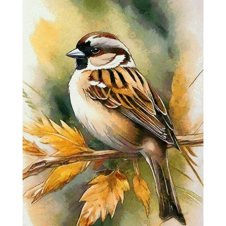 Bird - Painting By Numbers - 40*50CM gbfke